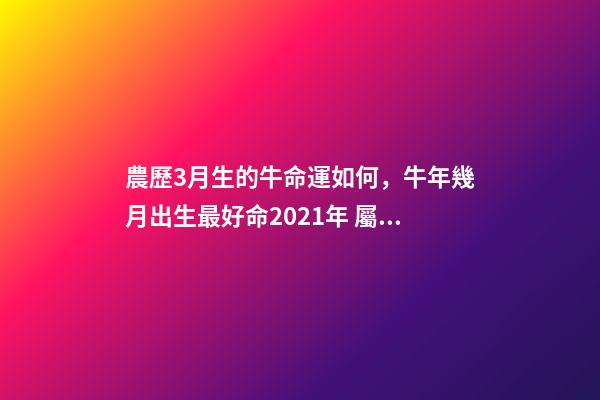 農歷3月生的牛命運如何，牛年幾月出生最好命2021年 屬牛的3月運勢，1997年三月初一屬牛的運勢如何-第1張-觀點-玄機派